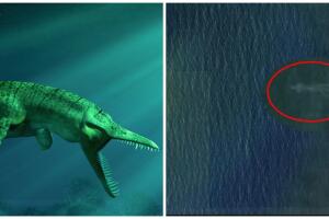 monstruo marino gigante.jpg