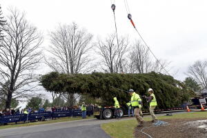 2019 Rockefeller Center Christmas Tree Cutting in Florida, NY