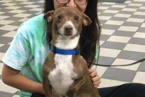 Chiquito regresa a casa