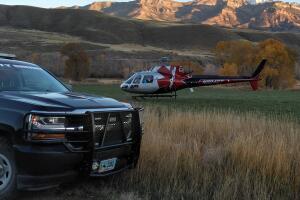 Ataque oso Wyoming
