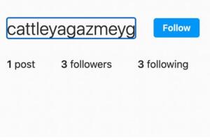 Así se veía la cuenta de Instagram de Cattleya anteriormente.