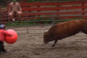 Jackass 3.5 (2011) - Yoga Ball.jpg