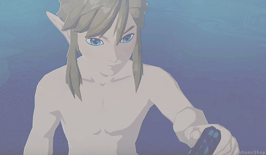 Link Zelda