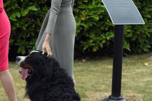 Meghan Duchess of Sussex & Prince Harry