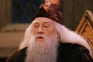 dumbledore harry potter 2.jpg