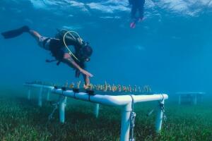 Una estación internacional bajo el mar Caribe