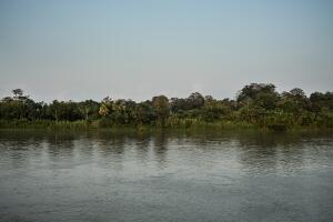 Frente Che Guevara del ELN
