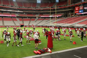 Arizona Cardinals Training Camp