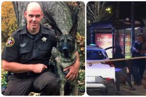 Riggs perro sospechoso asesinatos logan square