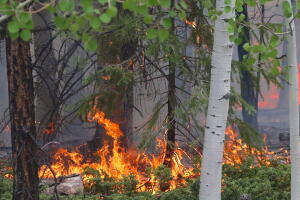 Wild Fire In Southern Utah Forces Evacuations