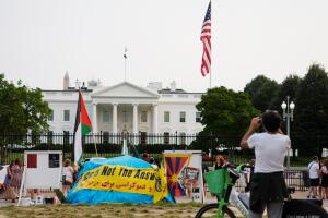 AP25249068613836 (1).jpg