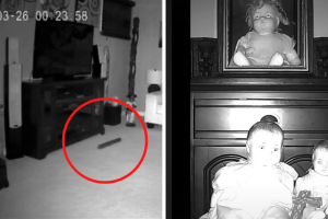 collage_actividad_paranormal_tiktok