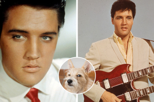 elvis_presley_collage.png