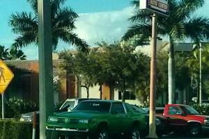 Cosas insólitas que solo se ven en Florida