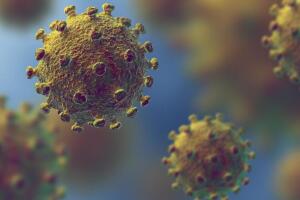 The coronavirus