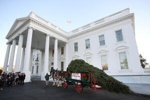 Melania Trump, árbol de navidad llega a la casa blanca
