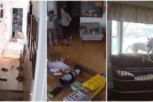 New York fue sacudido por fuerte sismo de 4.8, así lo vivieron los residentes. 