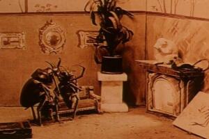 La Venganza Del Camarógrafo