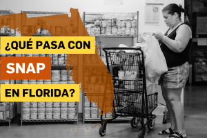 SNAP FLORIDA BANCOS DE ALIMENTOS