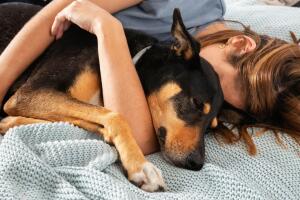 Desde la liberación de oxitocina hasta la seguridad emocional, dormir junto a tu mascota tiene beneficios que van más allá del confort.