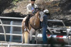 Bad Bunny y Kendall Jenner pasearon a caballo en California. 