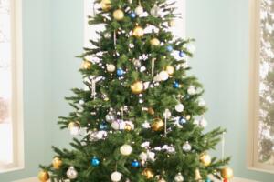 christmas-tree1549.jpg