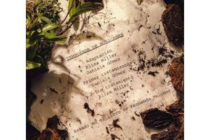 Netflix pelicula Temporada de Huracanes Fernanda Melchor.jpg