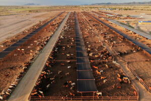 Mexico US Trump Beef