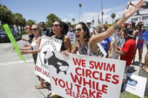 Orca Miami protesta
