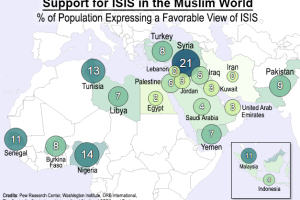 Porcentaje de apoyo al Estado Islámico en los países musulmanes