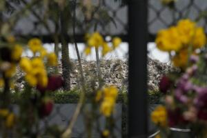 Building Collapse Miami