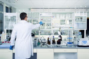 bacterias.jpg