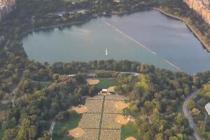Yoga en Central Park