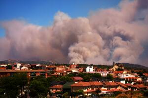 ávila humo