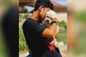 Periodista conmovido por la despedida en la frontera entre un inmigrante y su perrita decide cuidarla. 