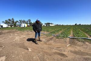campo afectado.jpg