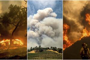 incendios norcal.jpg