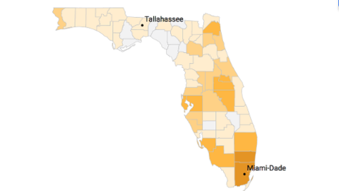 Mapa del coronavirus en Florida: busca tu condado y entérate de los casos confirmados y fallecidos