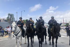 PARADA REYES 2020/IMG_7998.JPG