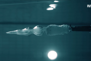 ¿Qué pasa si disparas un arma bajo el agua? Este científico lo comprobó disparándose a sí mismo
