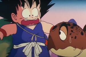 senor_tortuga_dragon_ball.jpg