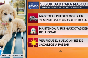 Mascotas-calor-San-Antonio