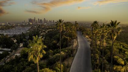 High quality aerial stock photo of downtown Los Angeles from Angels Point Road, near Dodger Stadium.