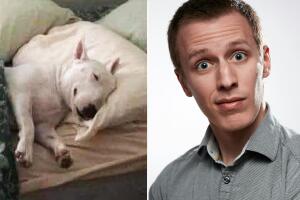 Perrhijo despoja a su hermano humano de su recámara