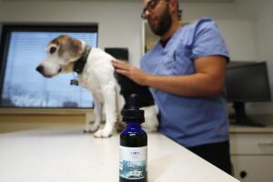 Luke Byerly, Robbie the beagle