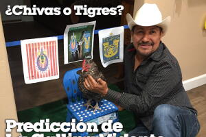 gallina Final MX