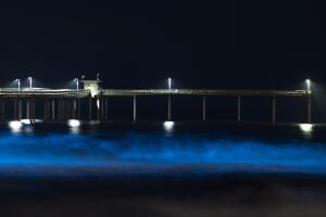 Virus Outbreak California Daily Life