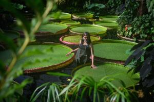 Kew Names Giant Waterlily Species New To Science