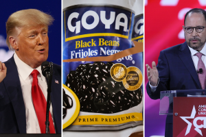 goya.png