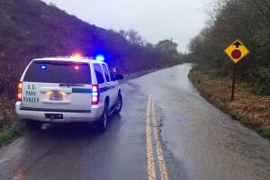 Las lluvias y la caída de árboles causaron cortes de carretera en el  parque nacional Point Reyes, al norte de San Francisco.
